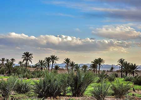 تصویر روستا